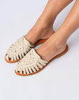 Headlines Mules